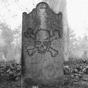 You're Gonna Have To Kill Me