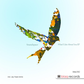 What I Like About You EP