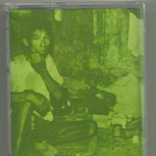 Trailers Flooded In The Wake Of A Hurricane