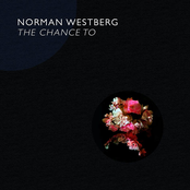 Norman Westberg: The Chance To