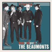 The Beaumonts: Where Do You Want It?