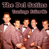 Teardrops Follow Me by The Del Satins