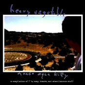 Mondo Aqua Kitty - The Further And Final Unabashed Adventures Of Heavy Vegetable - A Compilation Of 7"s, Comp. Tracks