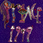 Something In The Water (does Not Compute) by Prince