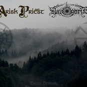 Arisk Priest & Slavogorje - Tijara Drevnih