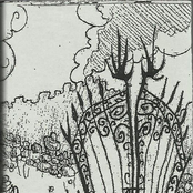 The Flowers of St. Francis Vol. 4