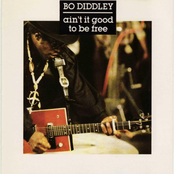 the mighty bo diddley