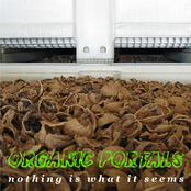 Nothing Is What It Seems