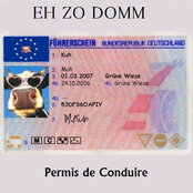 Permis de Conduire Single