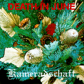 Satan's Feast by Death In June
