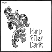 Harp After Dark