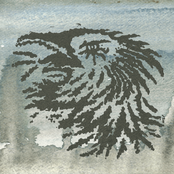 No Taste the Bitter Stinger