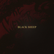 Black Sheep