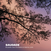 Saudade