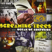 Screaming Trees - E.S.K.