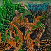 For Those in Shallow Graves