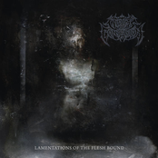 Victims Of Contagion: Lamentations Of The Flesh Bound