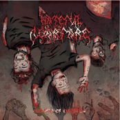 Scenario of Execution