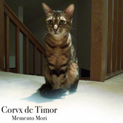 Memento Mori
