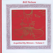 Indiscretion by Bill Nelson