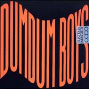 Skyfri by Dumdum Boys