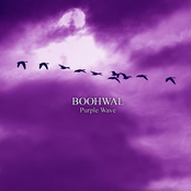 Boohwal: Purple Wave