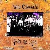 Spark by Wild Colonials