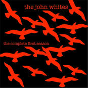 Without Me by The John Whites