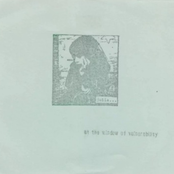 At The Window Of Vulnerability