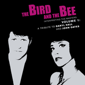 The Bird and The Bee: Interpreting the Masters Volume 1: A Tribute to Daryl Hall and John Oates