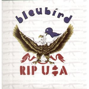 Rip USA (The Birdfleu)
