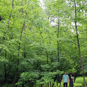 ｇｈｏｓｔ　ｇｒａｄｕａｔｉｏｎ ｢S P L I T｣