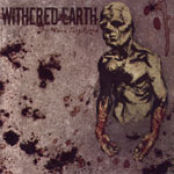 Ruins by Withered Earth