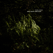 Bird Heart Amplifier