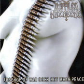 Absence of War Does Not Mean Peace