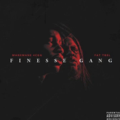 Finesse Gang
