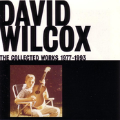 Tear Your Heart Out by David Wilcox