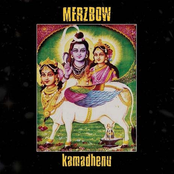 Churning Of The Cosmic Milk Ocean by Merzbow