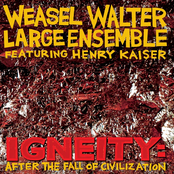 Igneity: After the Fall of Civilization (feat. Henry Kaiser)