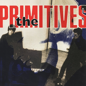 Carry Me Home by The Primitives