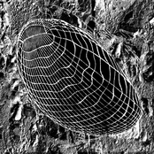 Call Marby x Alfie Snapped – sol