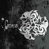 The Countdown To Death by Cerberus
