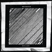 kapytaen / WØLFENSTEIN [split]