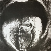 Tamagotchi Nappy Rash