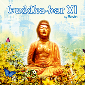 Niyaz: Buddha Bar XI