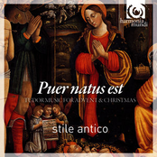 Stile Antico: Puer Natus Est - Tudor Music for Advent and Christmas