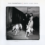 You Don't Know Me by Van Morrison