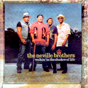 Middle Passage by The Neville Brothers