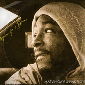 Ill Poetic Presents Marvin Gaye & Pink Floyd "Requiem For A Dream"