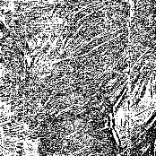 Less Fucked / Familiar Spaces